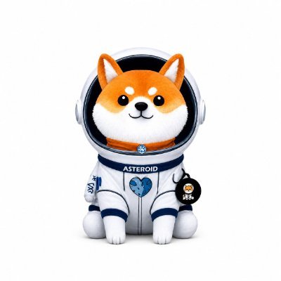 Asteroid Shiba token artwork