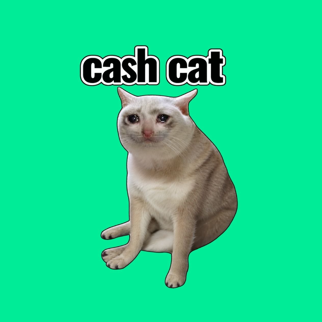 Cash Cat token artwork