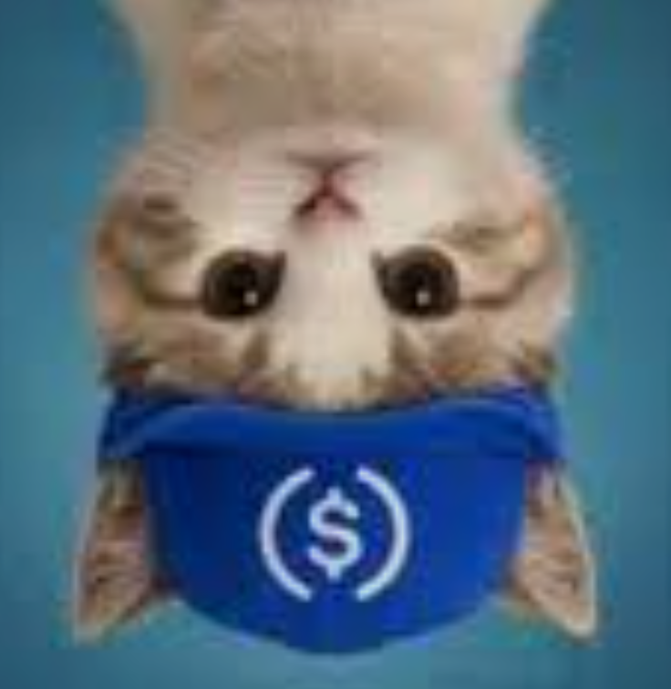 UpSideDownCat token artwork